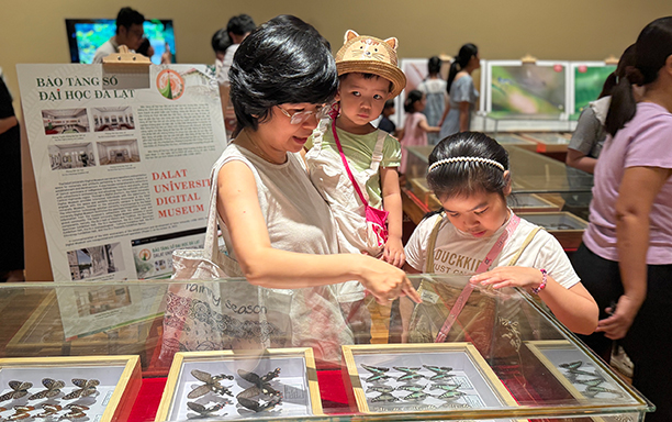 The First Exhibition on Vietnam’s Insect Diversity by DTU and Dalat University