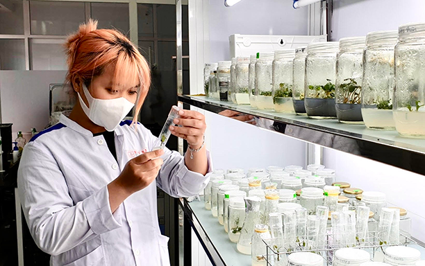 DTU Integrates Research Projects into Biotechnology and Bachelor of Pharmacy Programs