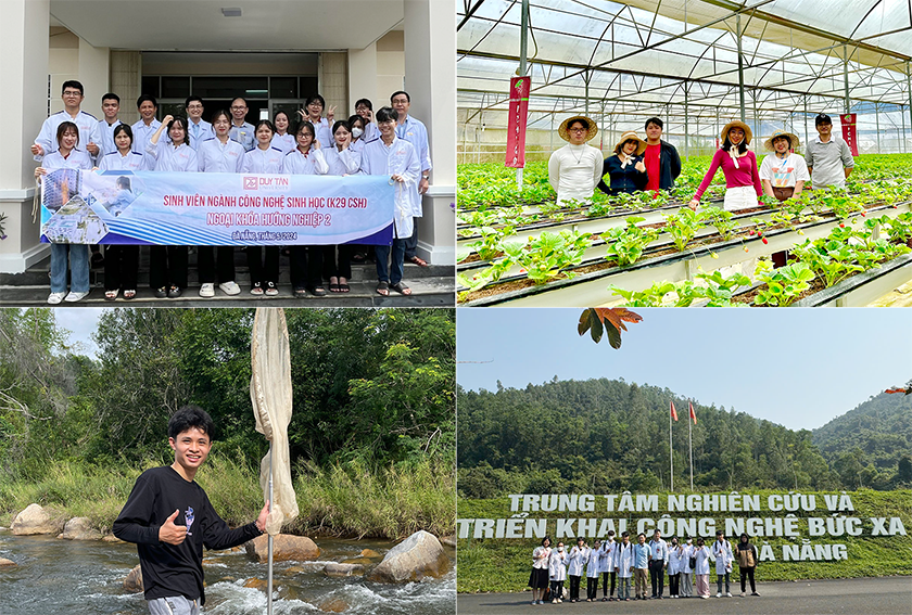 Sinh viên Công nghệ Sinh học của ĐH Duy Tân đạt giải về Sâm Ngọc Linh và Rau má