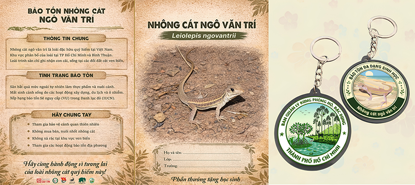 Nhà Khoa học DTU nghiên cứu bảo tồn Nhông cát Ngô Văn Trí, nâng cao nhận thức cộng đồng