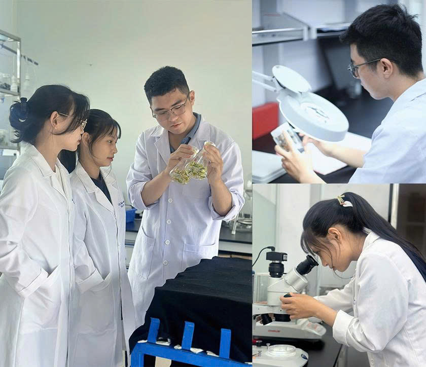 2025: Năm học với nhiều giải Nhất của SV ĐH Duy Tân