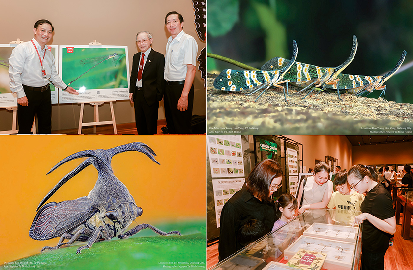 10 Sự kiện nổi bật của ĐH Duy Tân trong năm 2025