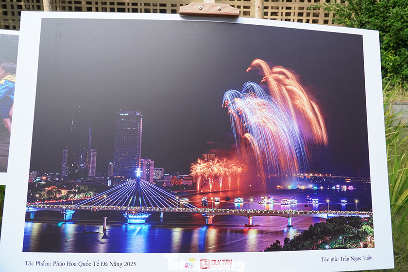 Gen Z thích thú xem triển lãm ảnh Đà Nẵng sôi động, sắc màu