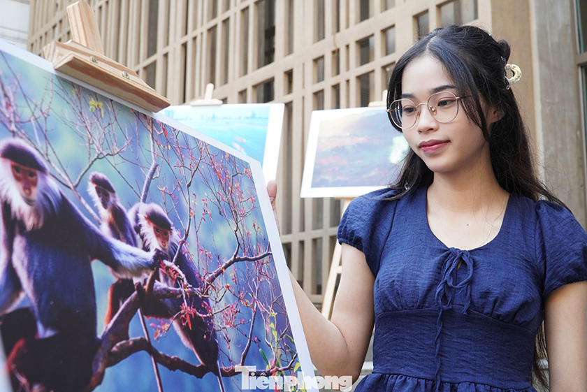 Gen Z thích thú xem triển lãm ảnh Đà Nẵng sôi động, sắc màu