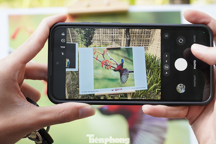 Gen Z thích thú xem triển lãm ảnh Đà Nẵng sôi động, sắc màu