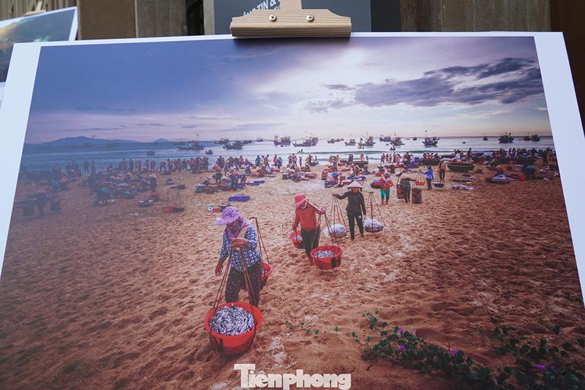 Gen Z thích thú xem triển lãm ảnh Đà Nẵng sôi động, sắc màu