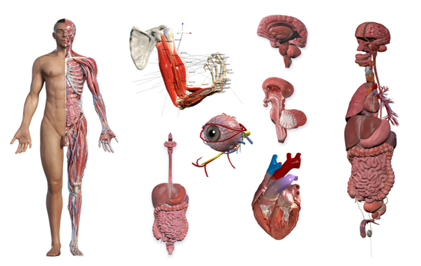 Hệ sinh thái Đổi mới Sáng tạo của Trường Khoa học Máy tính & Trí tuệ Nhân tạo - Trung tâm CVS
