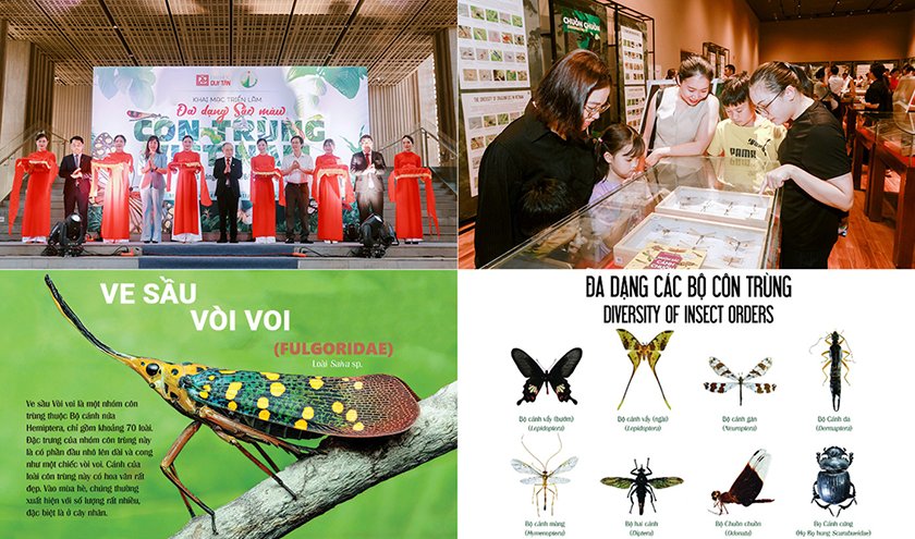 ĐH Duy Tân đào tạo ngành Công nghệ Sinh học và Dược sĩ Đại học tích hợp các đồ án nghiên cứu