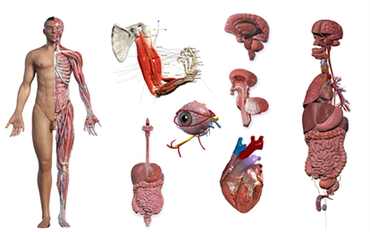Hệ sinh thái Đổi mới Sáng tạo của Trường Khoa học Máy tính & Trí tuệ Nhân tạo - Trung tâm CVS