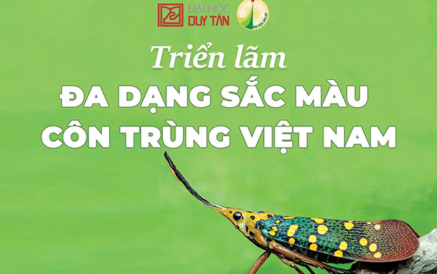 Exhibition on Vietnamese Insect Diversity, Co-organized by DTU and Dalat University