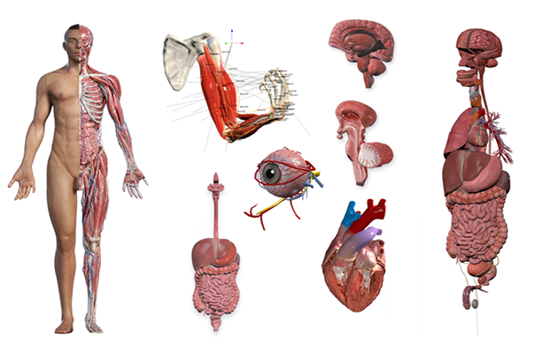 Hệ sinh thái Đổi mới Sáng tạo của Trường Khoa học Máy tính & Trí tuệ Nhân tạo - Trung tâm CVS